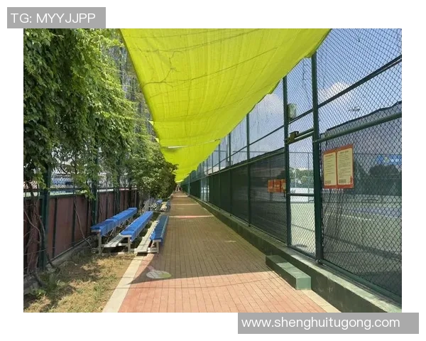 西安网球队勇闯世锦赛展现逆袭精神与团队力量的辉煌之路